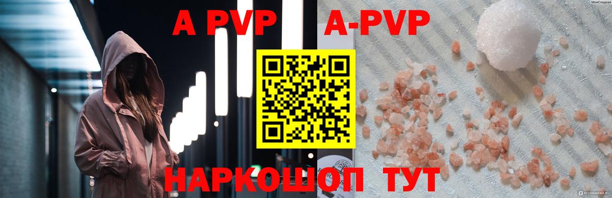 A-PVP СК Новочеркасск